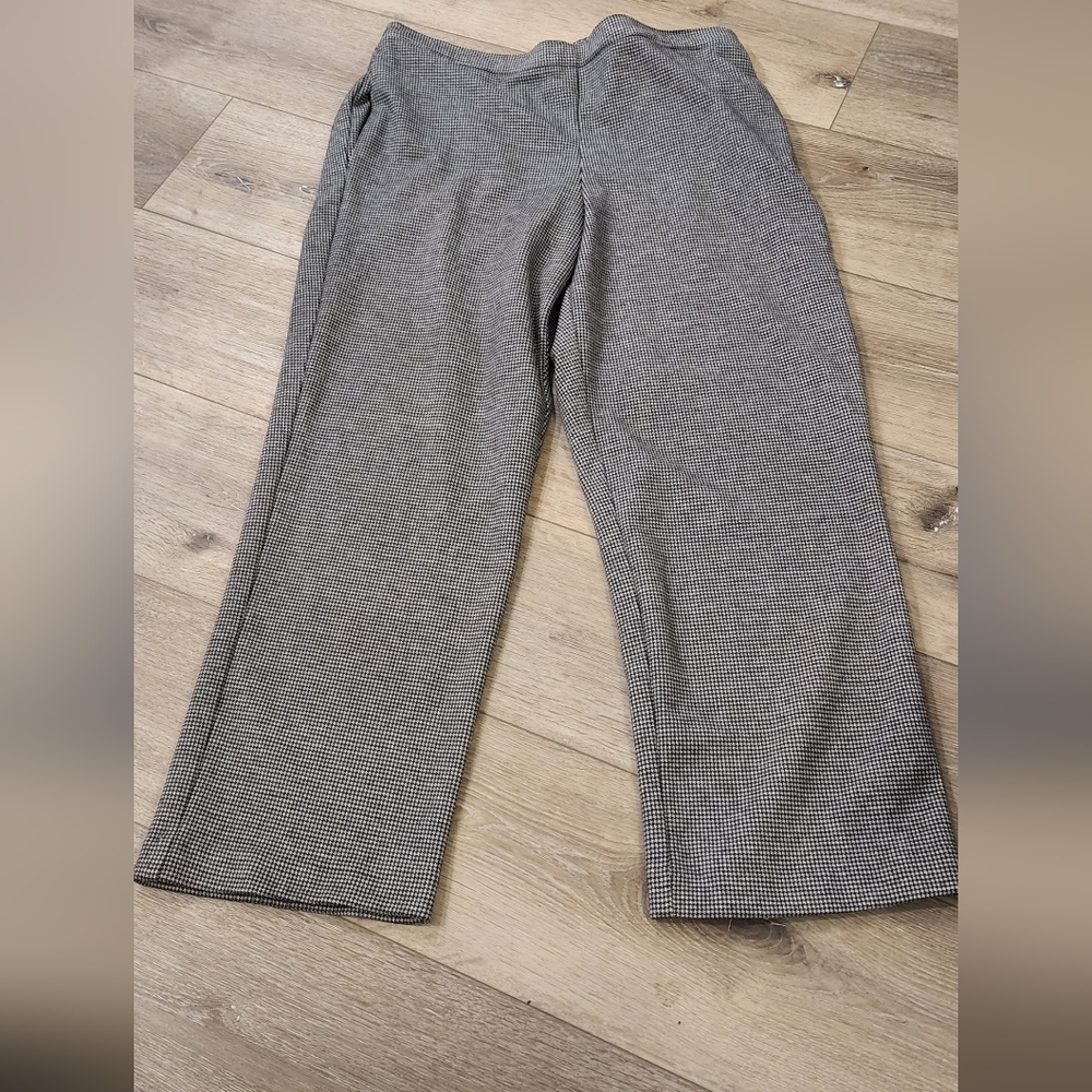 Alfred Dunner plus size pants